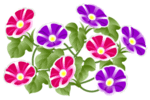 花イラスト.gif